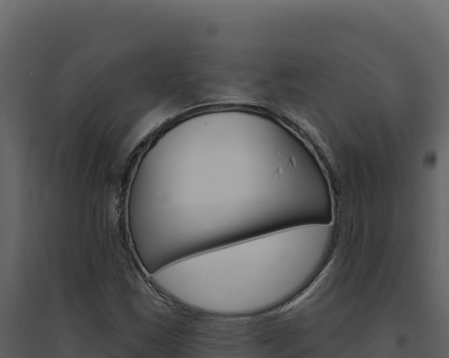 X0000094811163200711160957