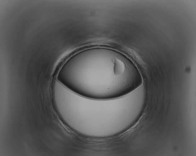 X0000094811164200711160957