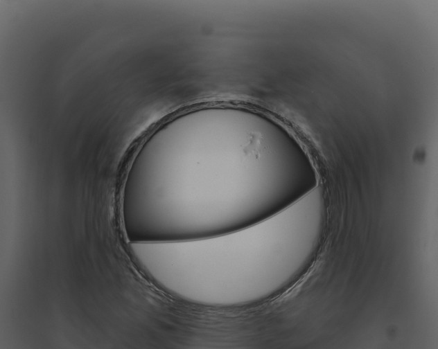 X0000094811165200711160957