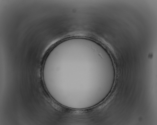 X0000094811166200711160957