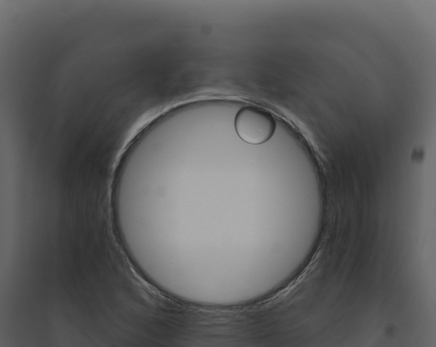 X0000094811168200711160957