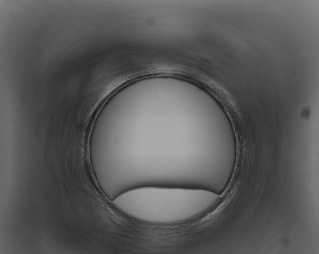 X0000094811170200711160957