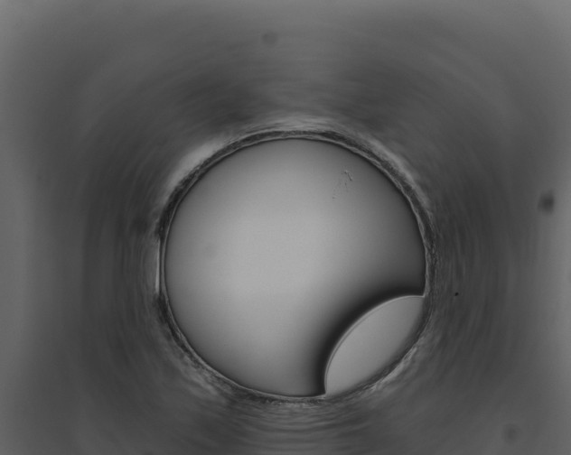 X0000094811171200711160957