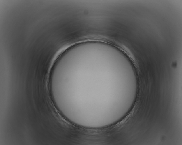 X0000094811172200711160957