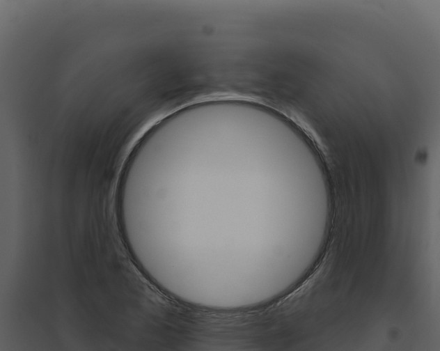 X0000094811173200711160957