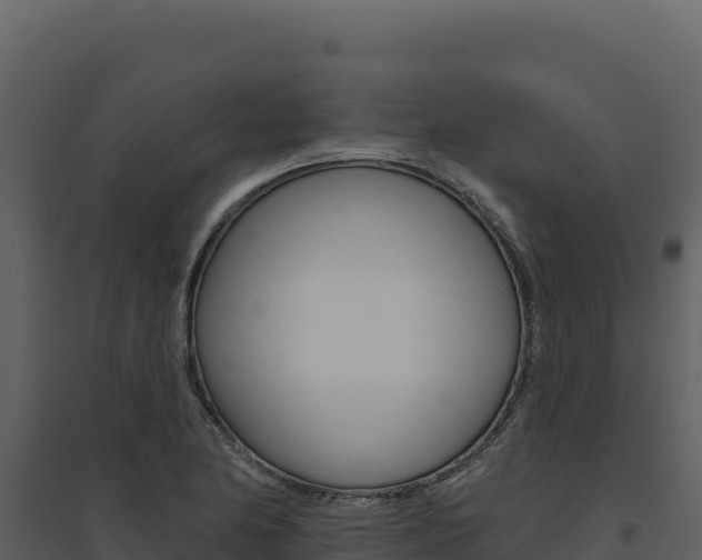 X0000094811174200711160957