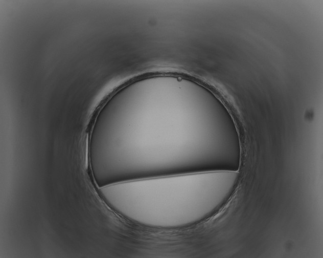 X0000094811175200711160957