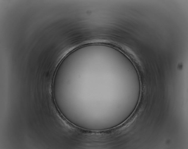X0000094811177200711160957