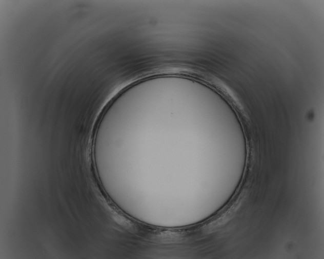 X0000094811178200711160957