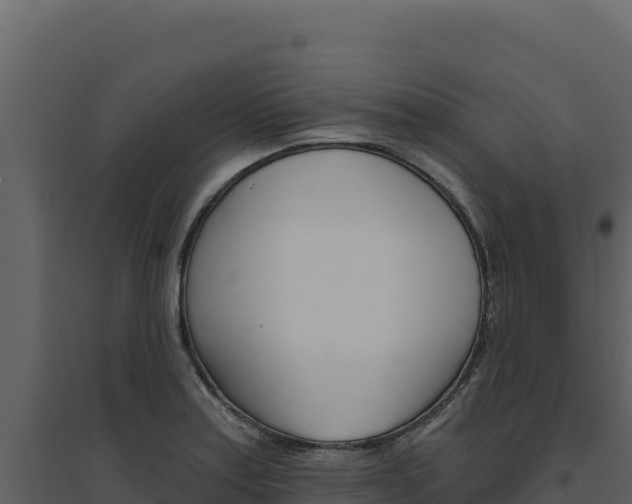 X0000094811179200711160957