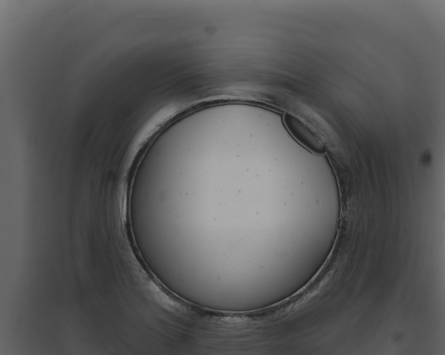 X0000094811180200711160957