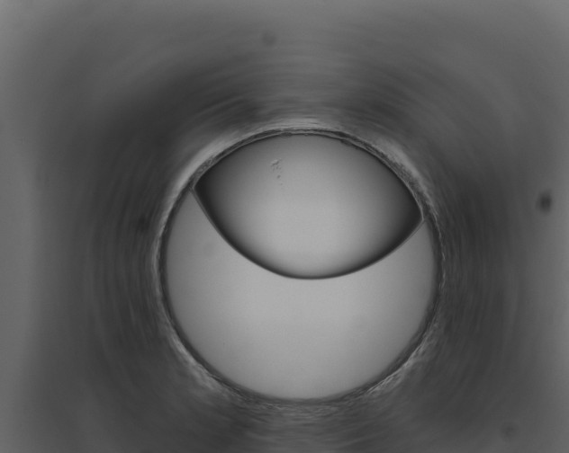 X0000094811181200711160957