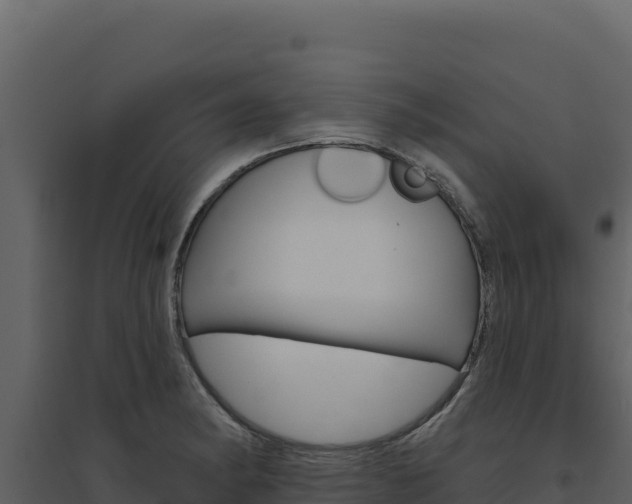 X0000094811182200711160957
