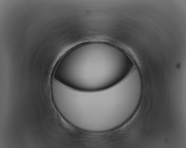 X0000094811184200711160957