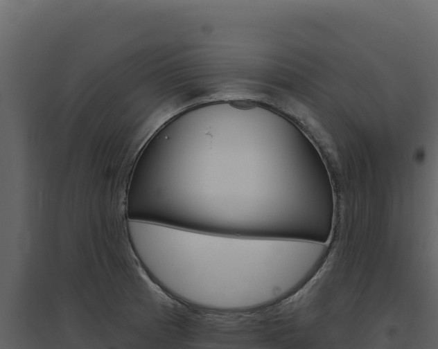 X0000094811185200711160957