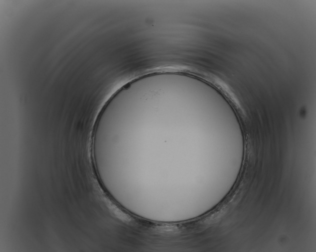 X0000094811186200711160956