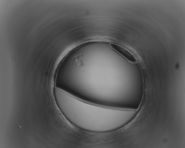 X0000094811188200711160956