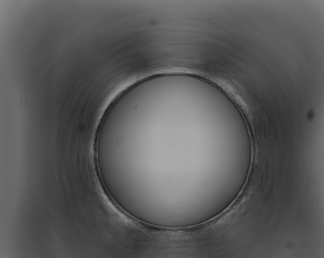 X0000094811189200711160956