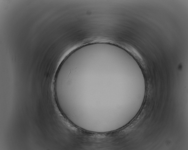 X0000094811190200711160956
