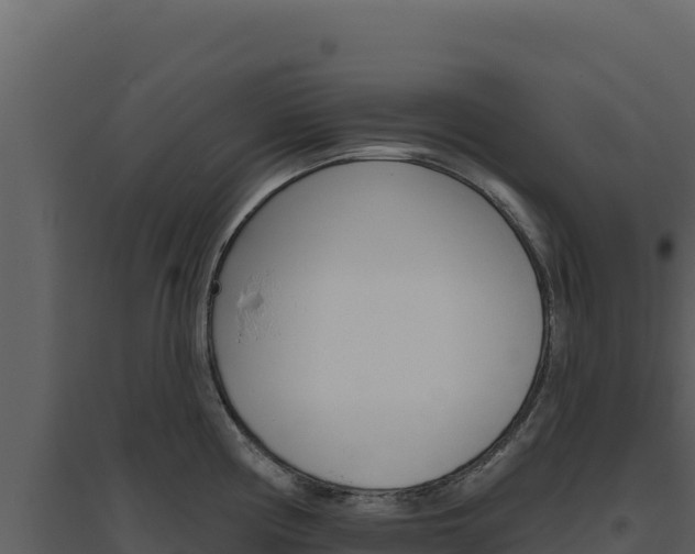 X0000094811194200711160956