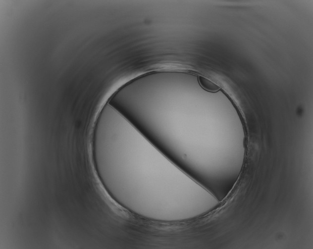 X0000094811195200711160956