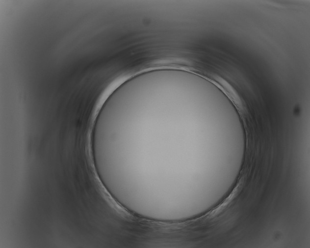X0000094811196200711160956