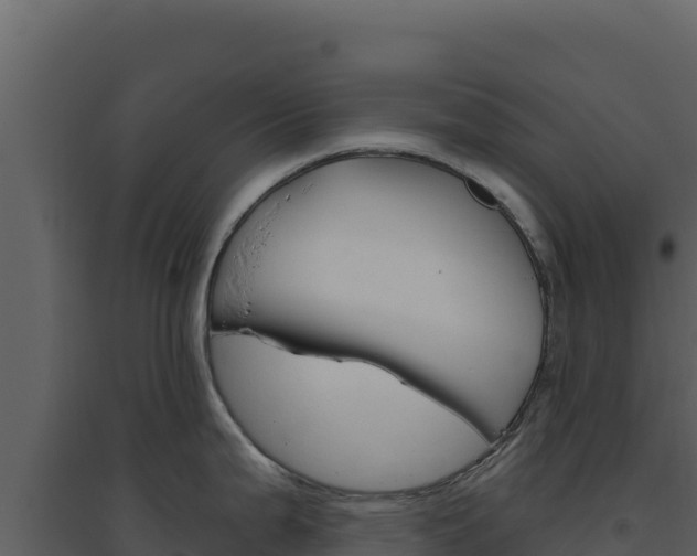 X0000094811199200711160956