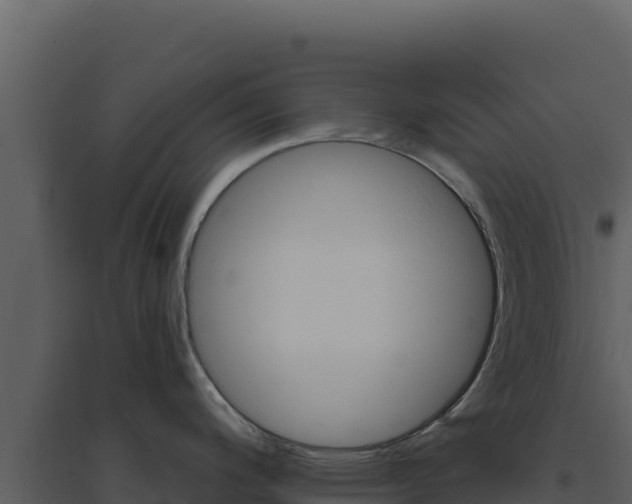 X0000094811200200711160956