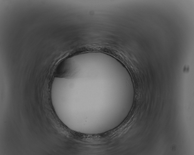 X0000094811201200711160955