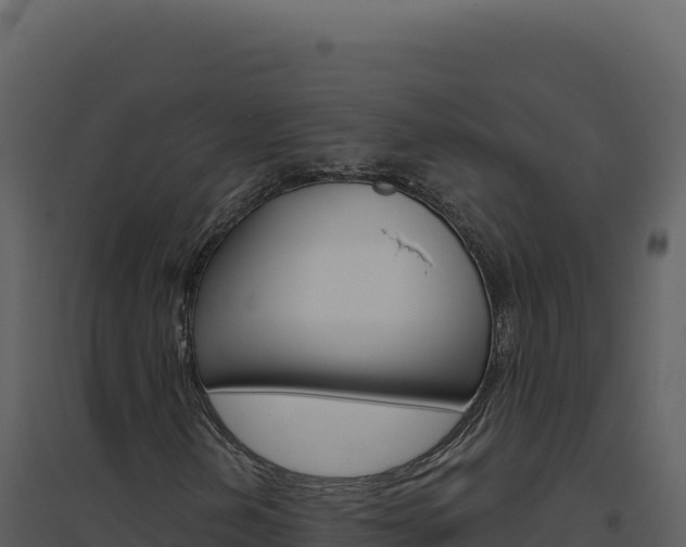 X0000094811202200711160955