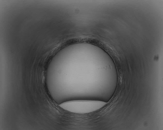 X0000094811204200711160956