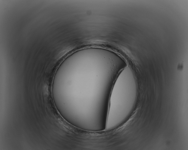 X0000094811209200711160956