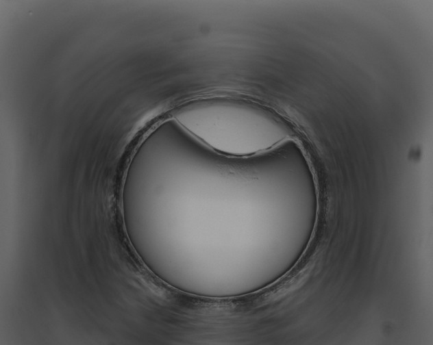 X0000094811210200711160956