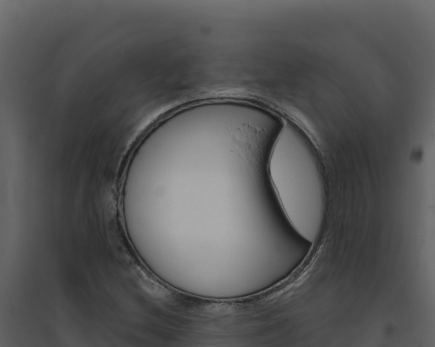 X0000094811212200711160956