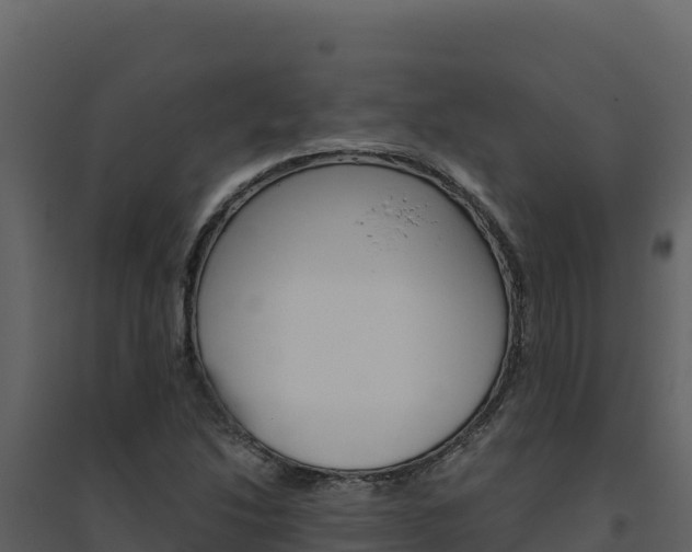 X0000094811214200711160956