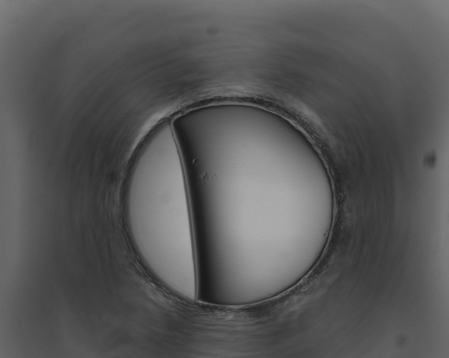 X0000094811218200711160956