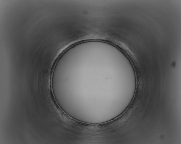 X0000094811220200711160956