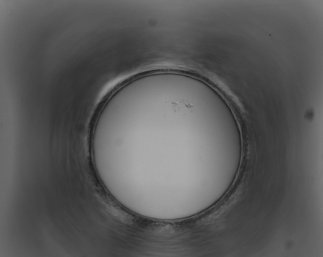 X0000094811222200711160956