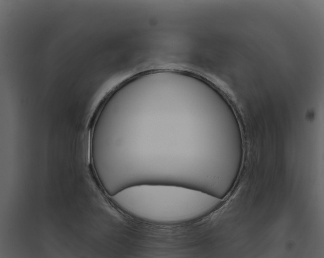 X0000094811223200711160956