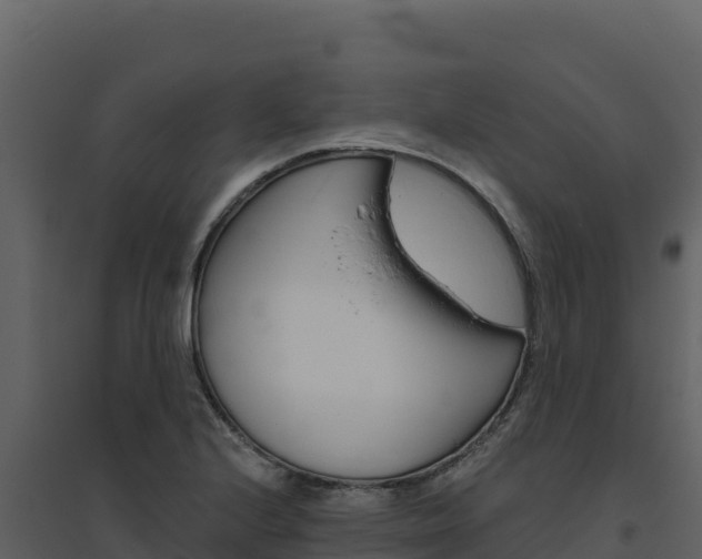 X0000094811224200711160956