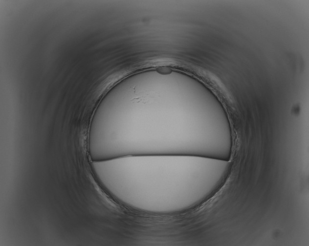 X0000094811225200711160956