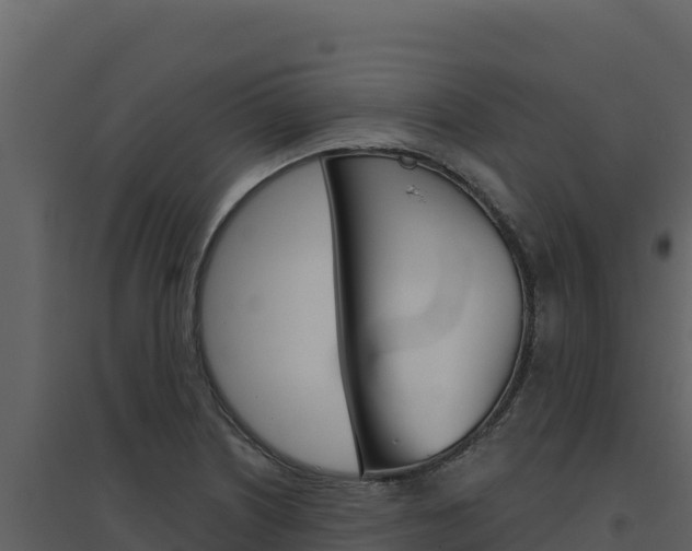 X0000094811226200711160956