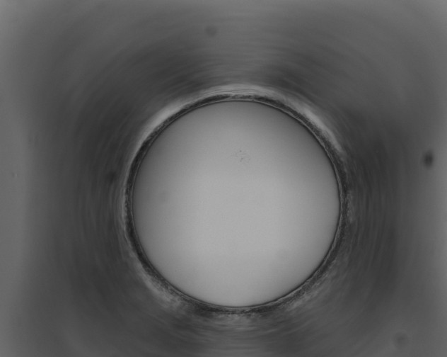 X0000094811229200711160956