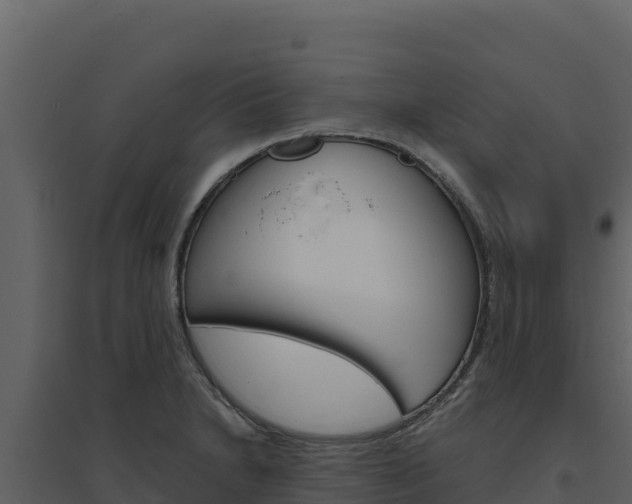 X0000094811230200711160956