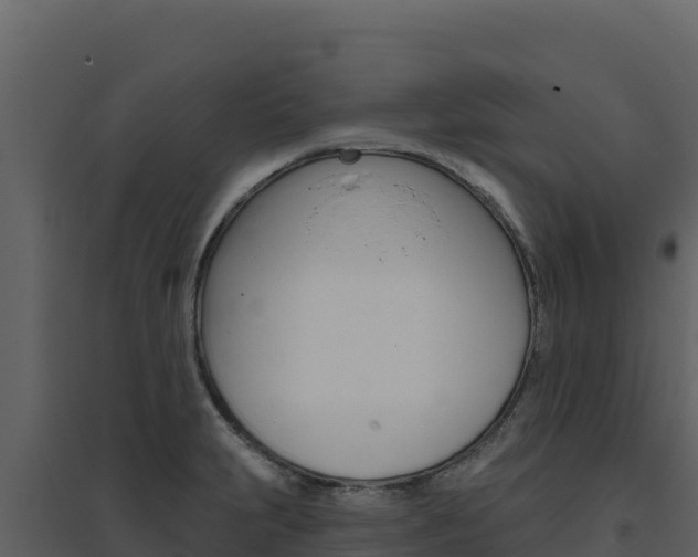 X0000094811231200711160956