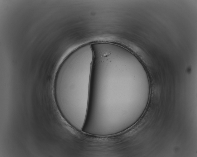 X0000094811232200711160956