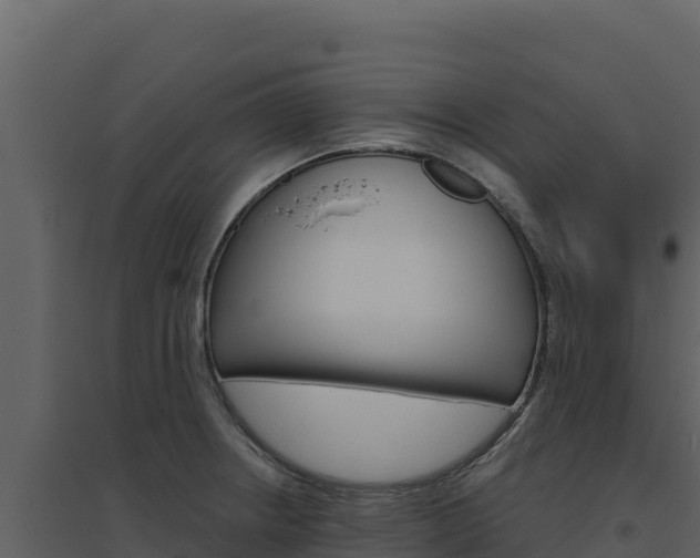 X0000094811234200711160956