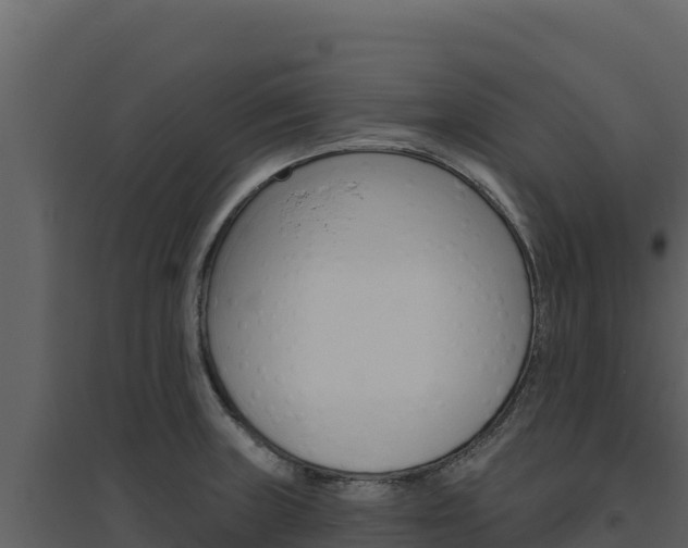 X0000094811235200711160956