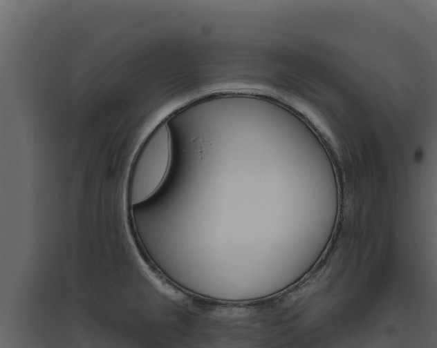 X0000094811237200711160956
