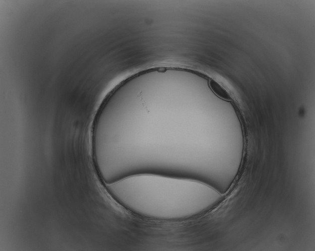 X0000094811238200711160956